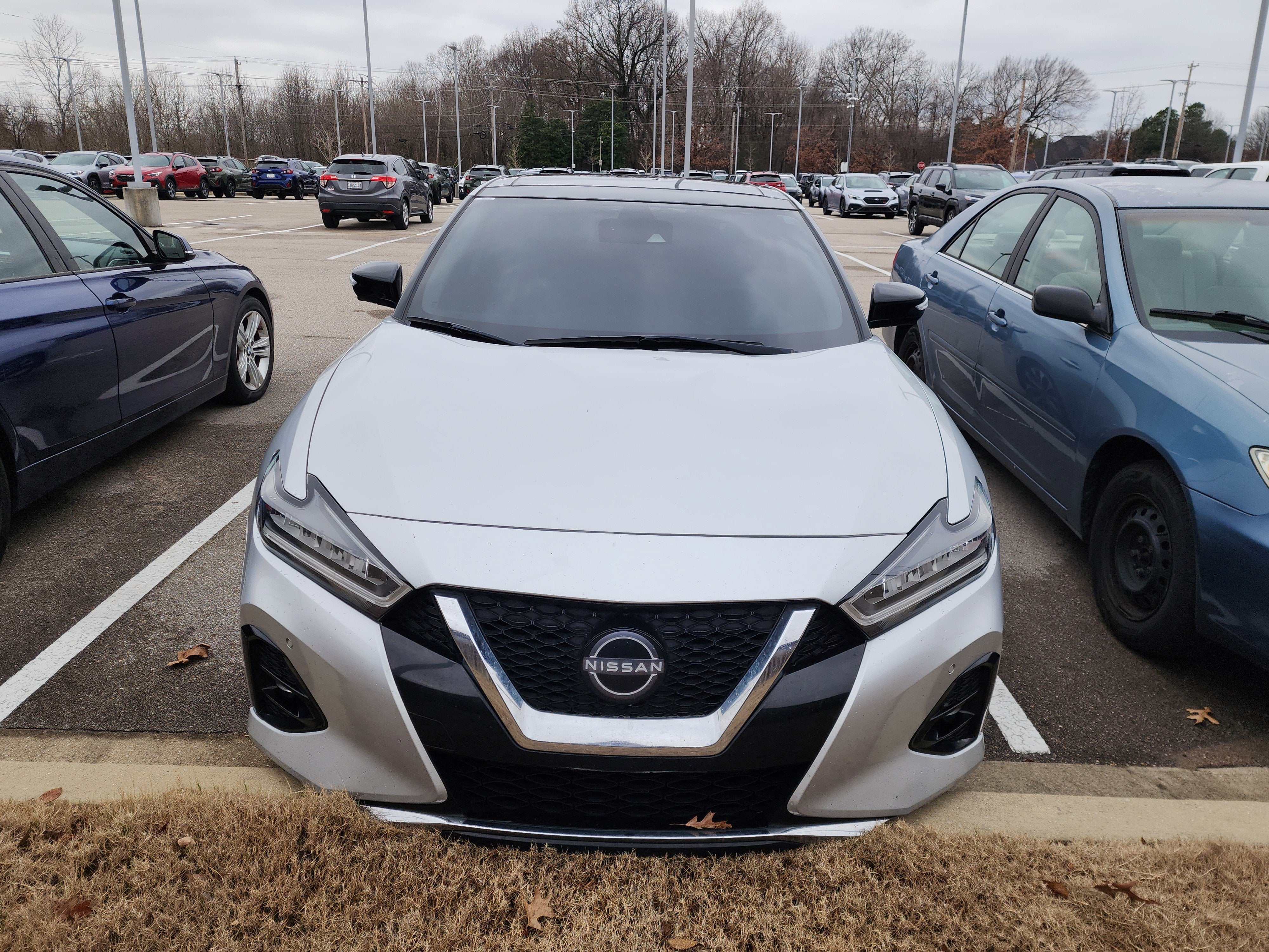 2023 Nissan Maxima Platinum