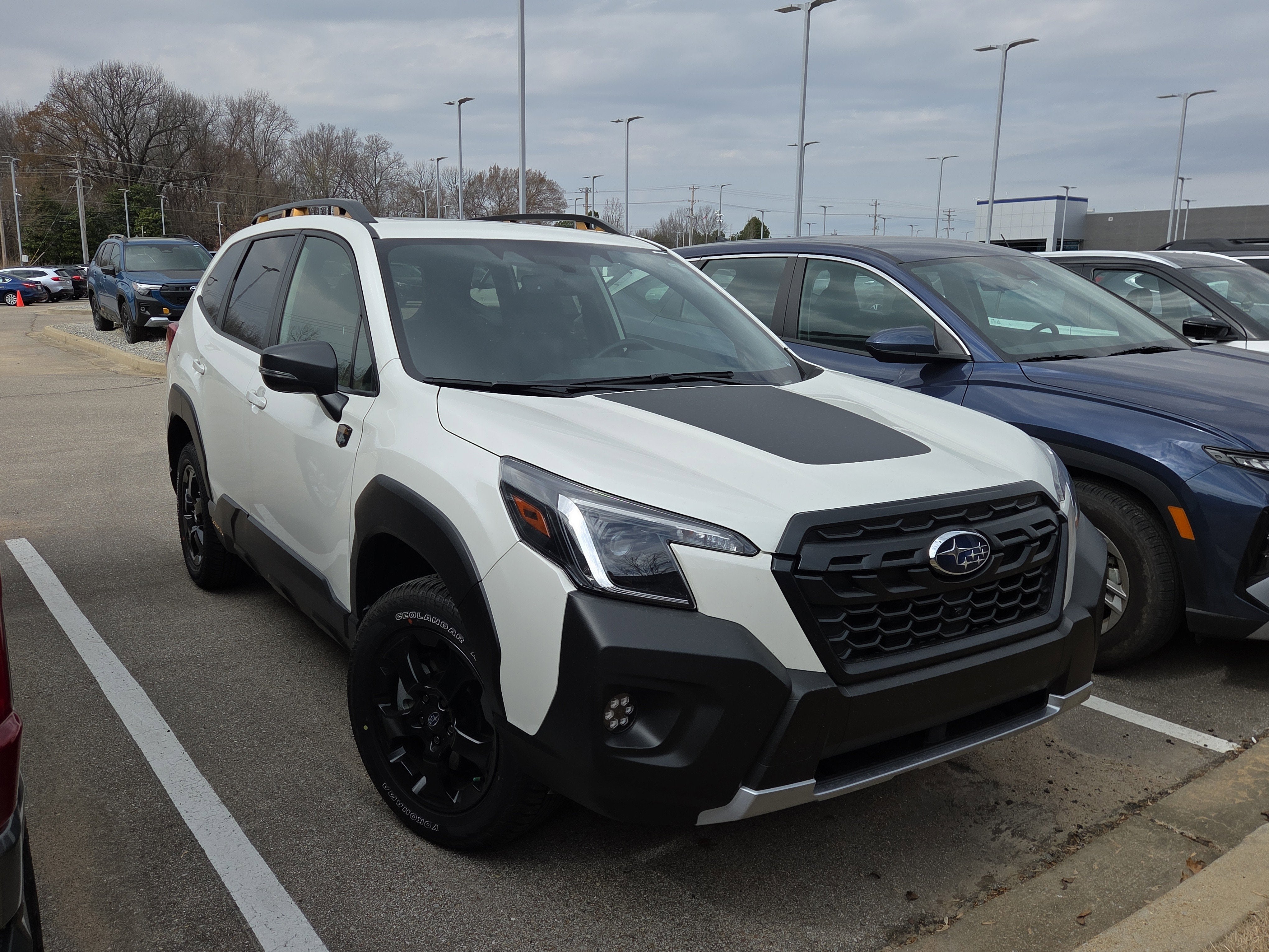 2025 Subaru Forester Wilderness