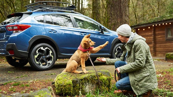 Jim Keras Subaru Hacks Cross in Memphis TN