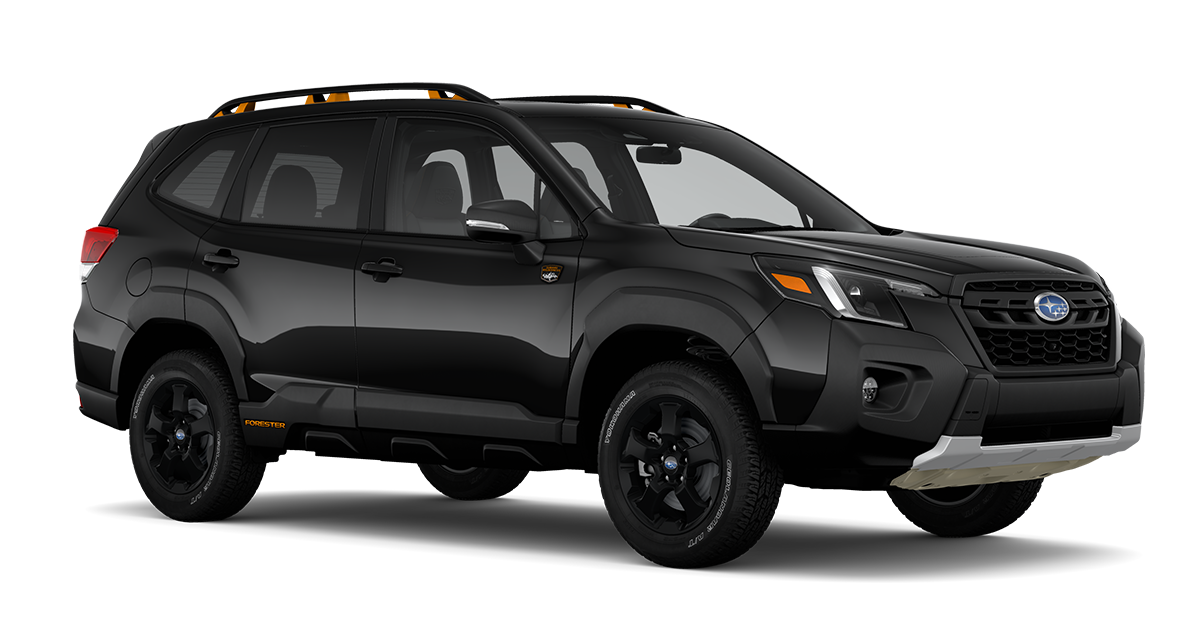 2024 Forester Wilderness